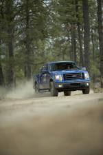 Ford F-150 2009 года